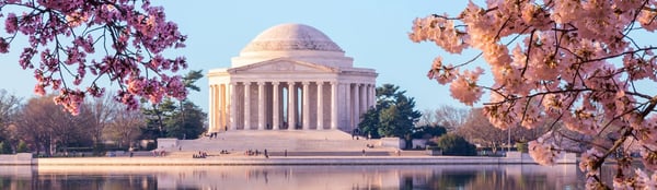 Washington DC Airport Transfers