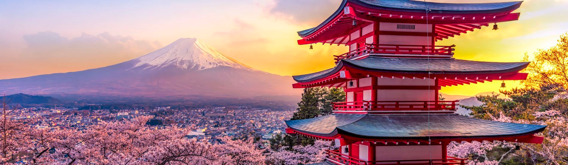 Tipps für Ihre Reise nach Tokio