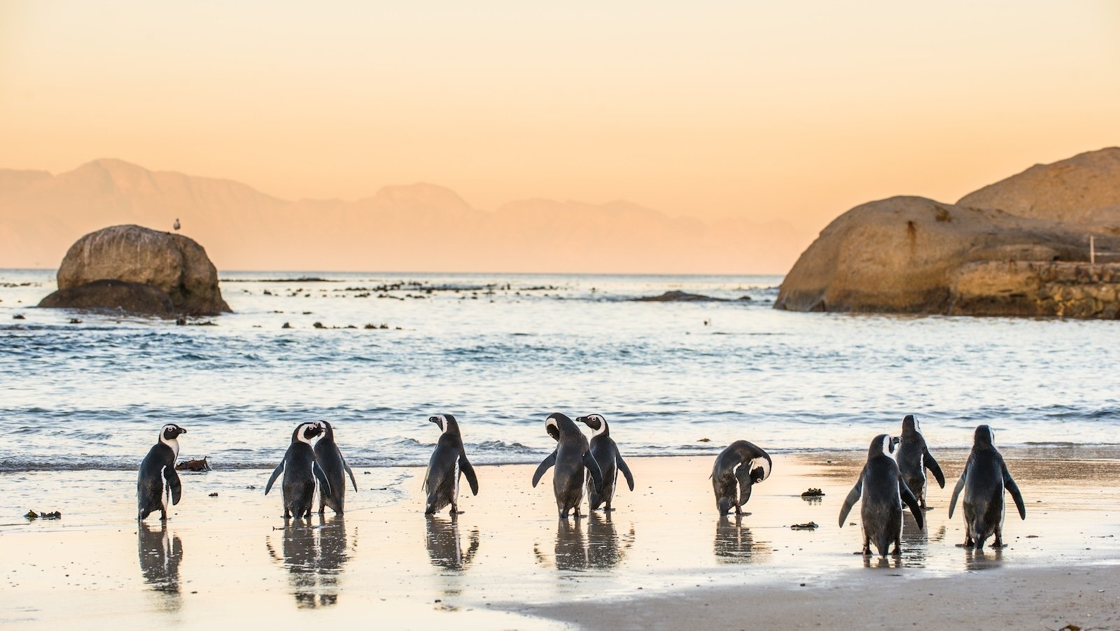 Tips for your trip to Cape Town