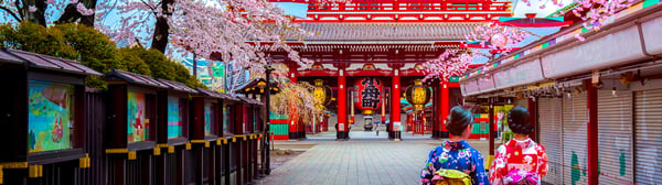 Tokyo Narita Airport Transfers (NRT)