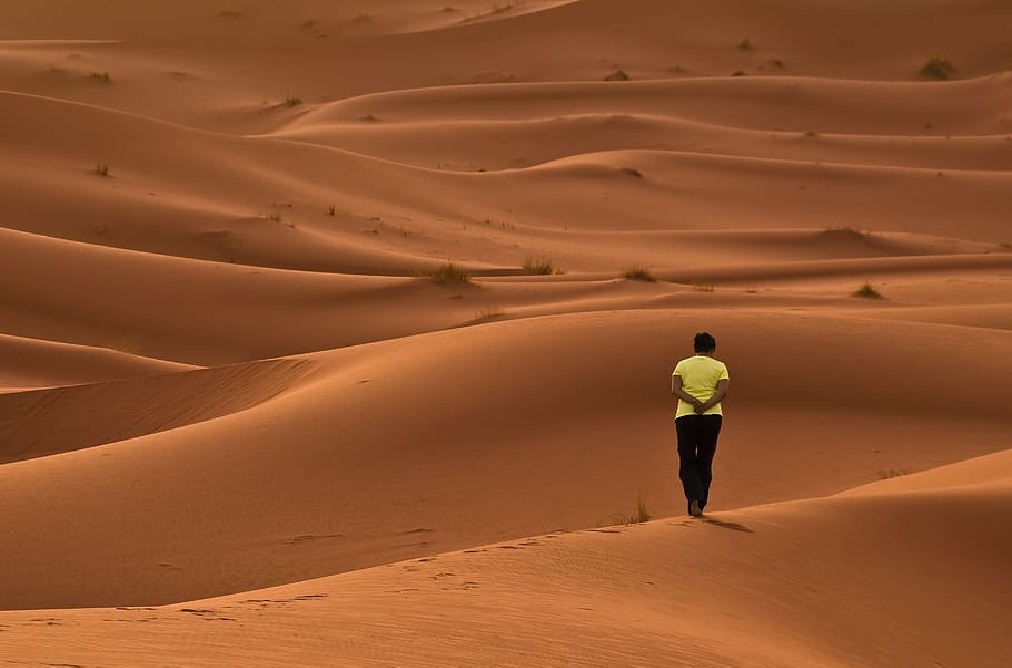 Viaje seguro por el desierto