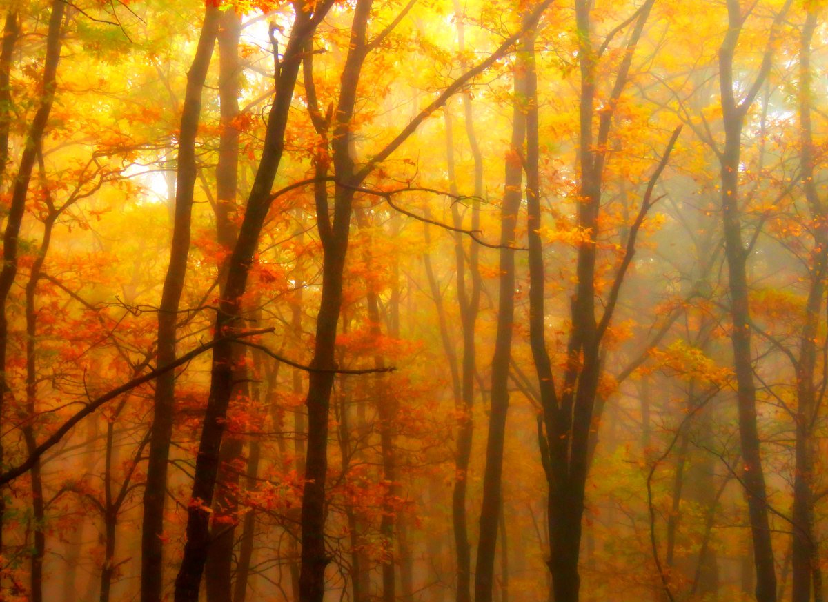 The spectacular “Indian Summer” time