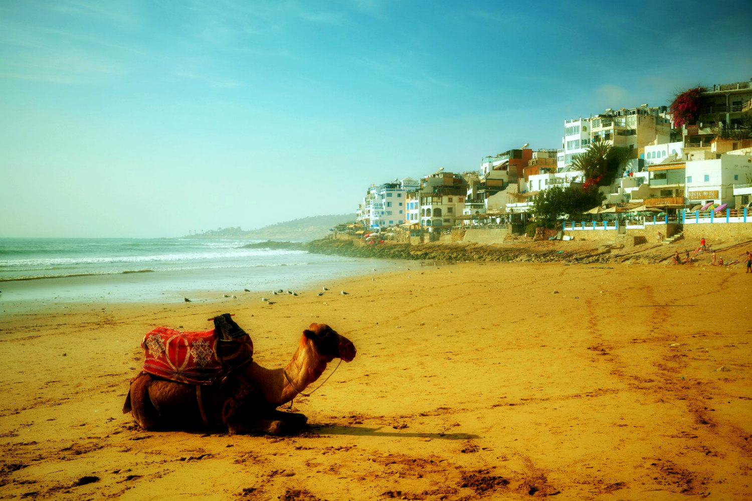 Vos vacances de Noël européennes… en Afrique !