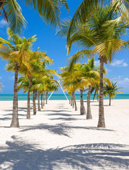 Cozumel Airport Transfers (CZM)