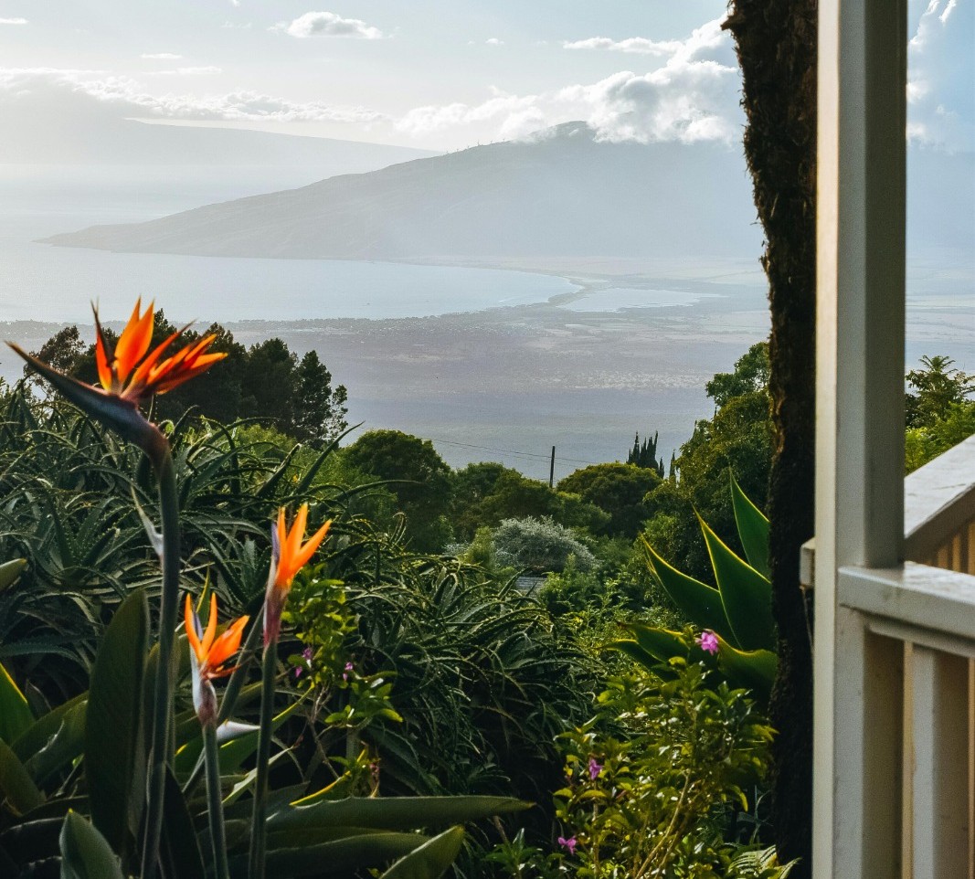 November in Maui