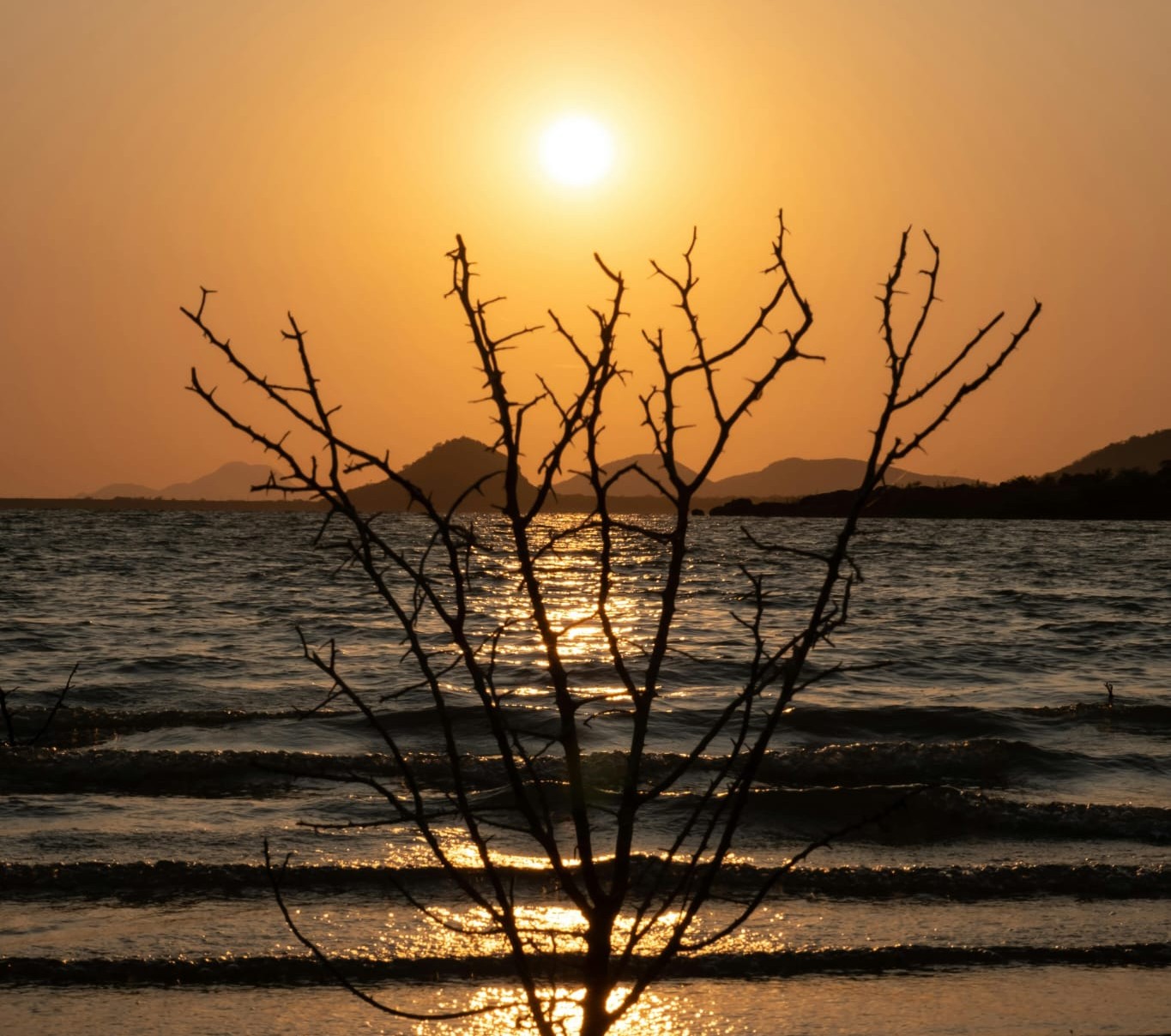 Safari in Botswana: land of peace
