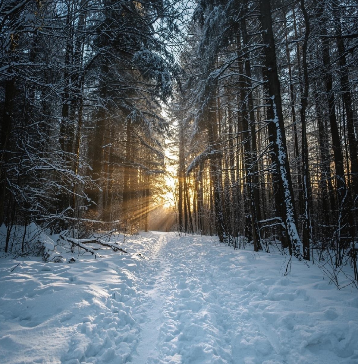 Calabria… in the snow! Where to go skiing