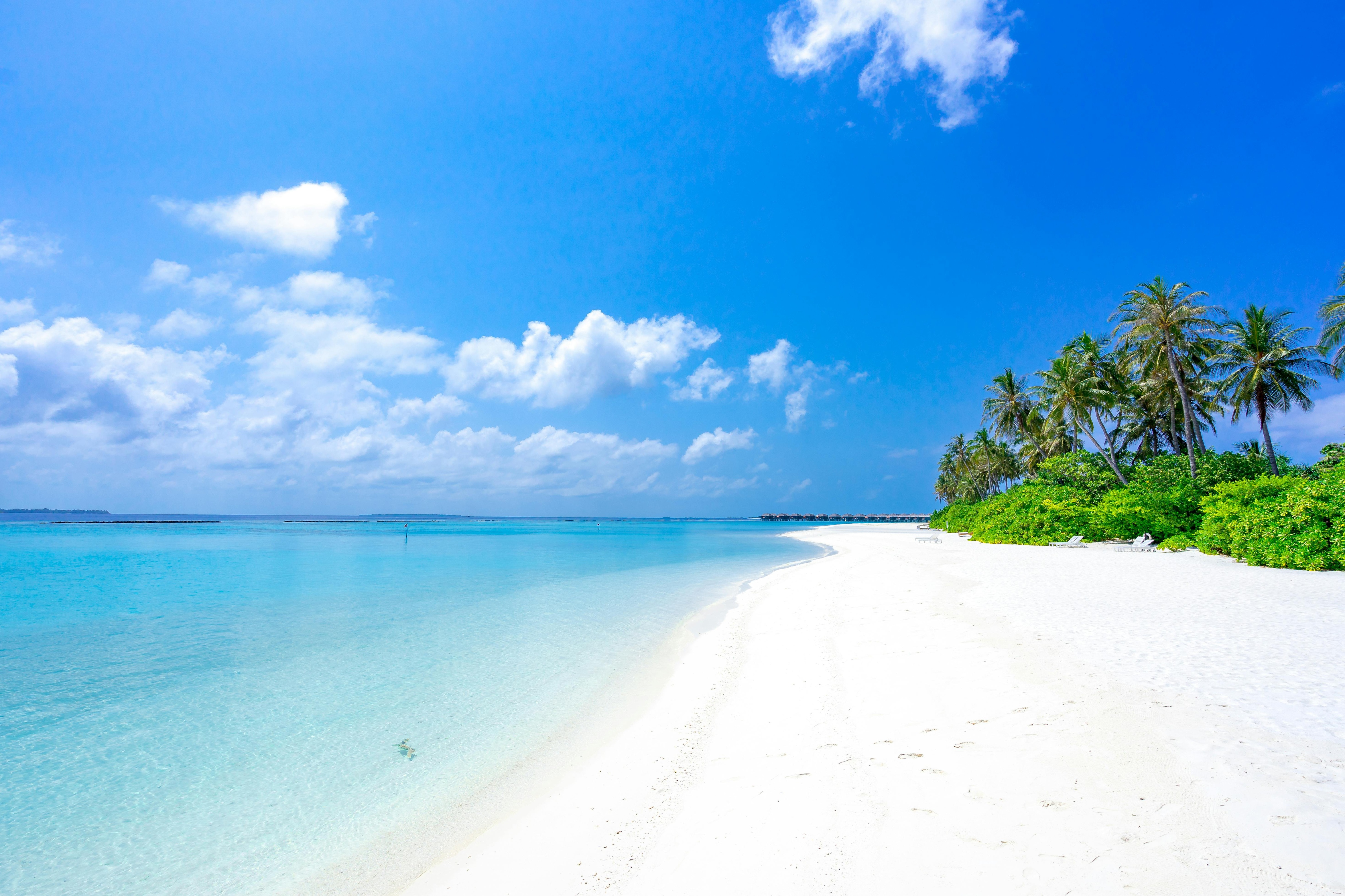Your vacation of 2026? Palau