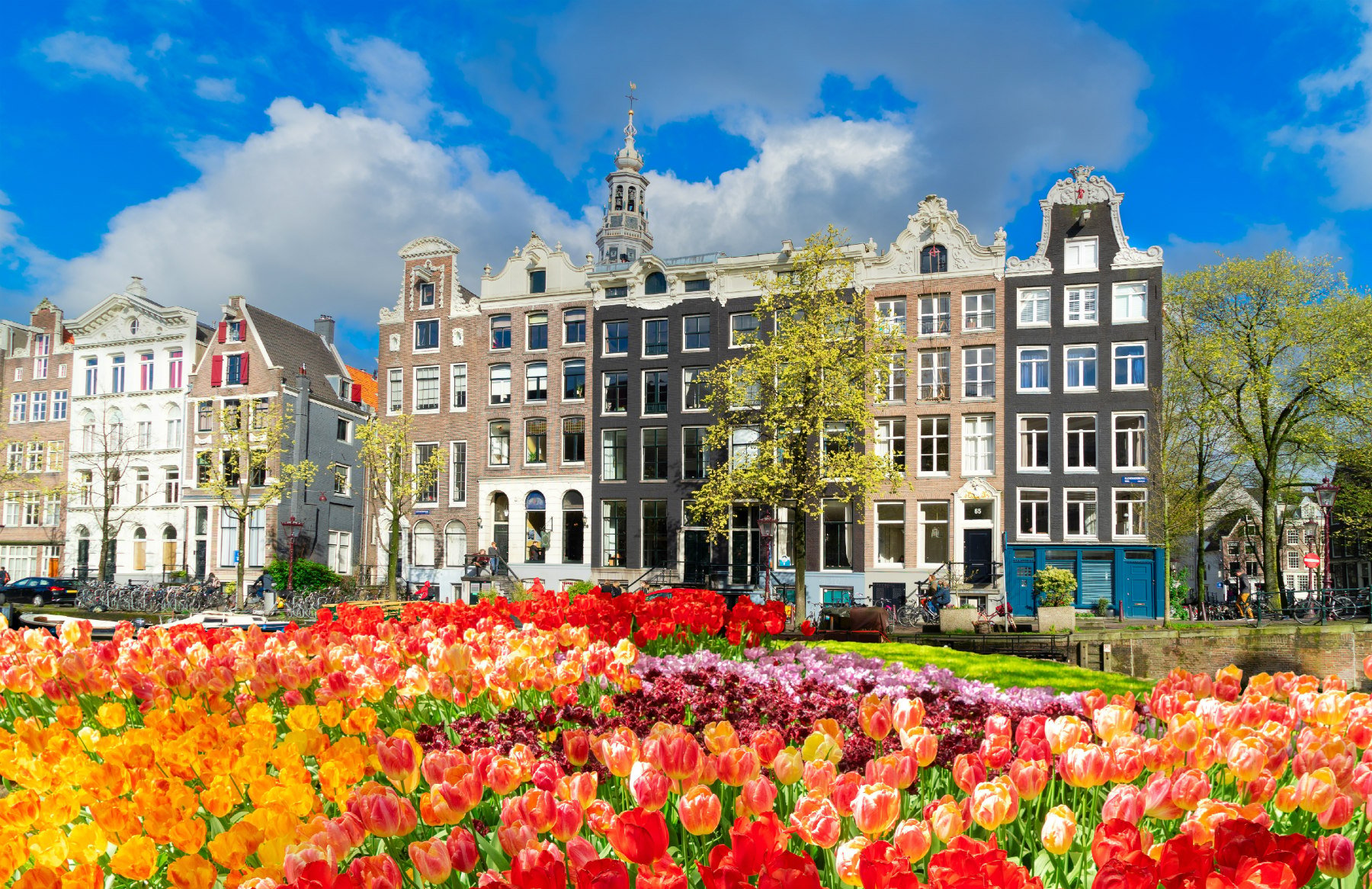 The tulip gardens of Keukenhof