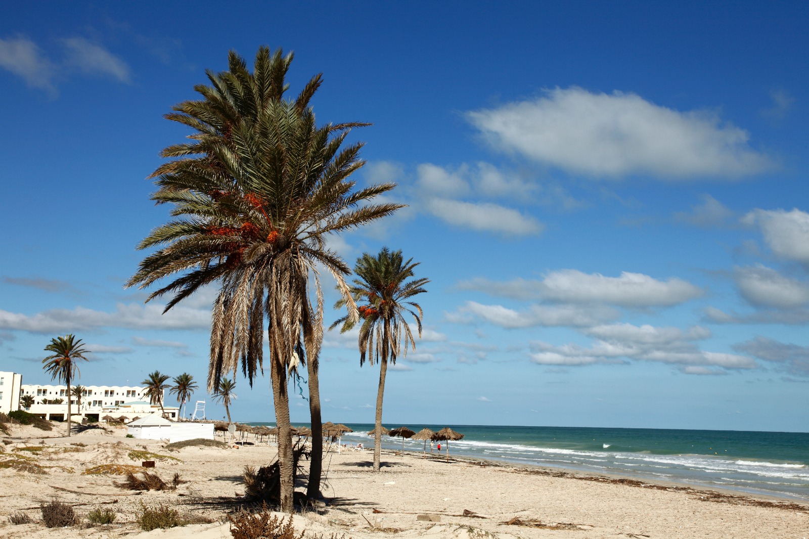 Islas tunecinas: un pequeño mundo diferente