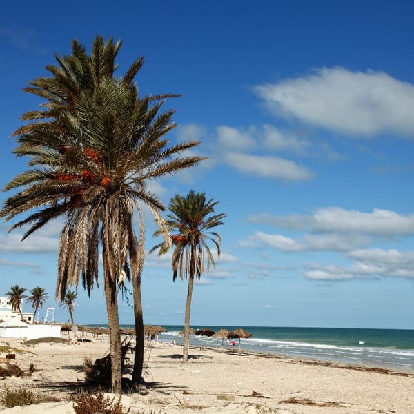 Îles tunisiennes : un monde miniature à part