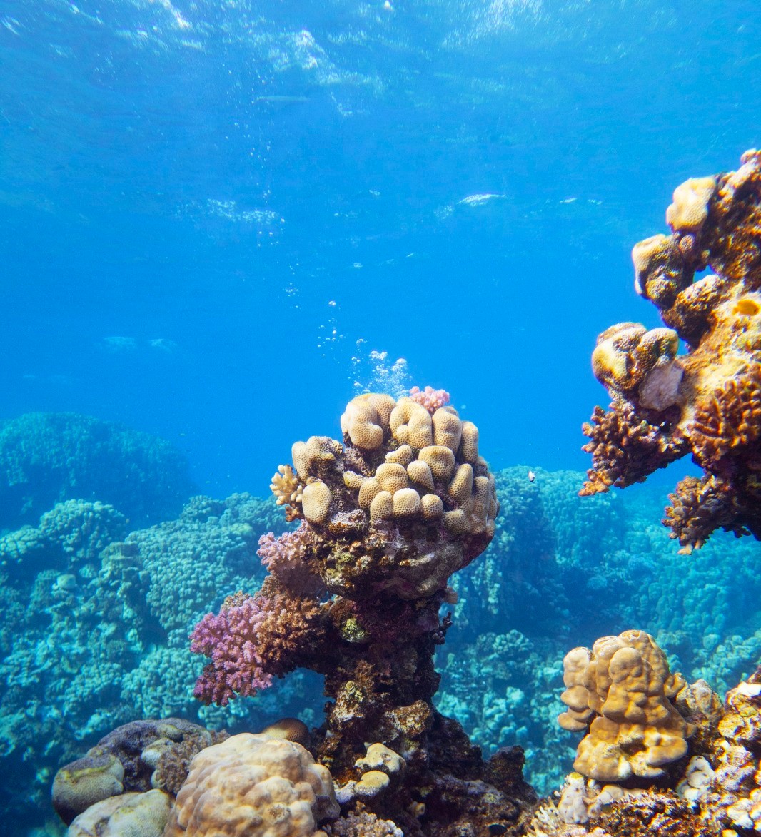 Diving: Top 5 Places in Europe