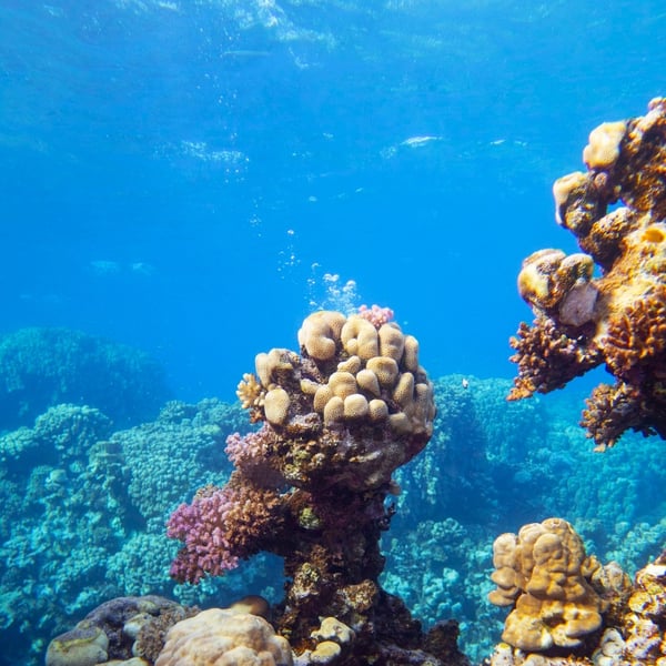 Immersioni: le 5 destinazioni “top” in Europa