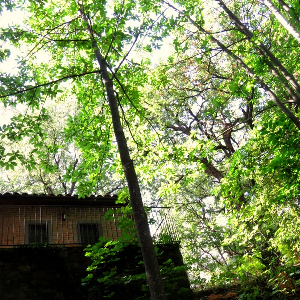 Vacaciones de verano en la montaña: cinco destinos