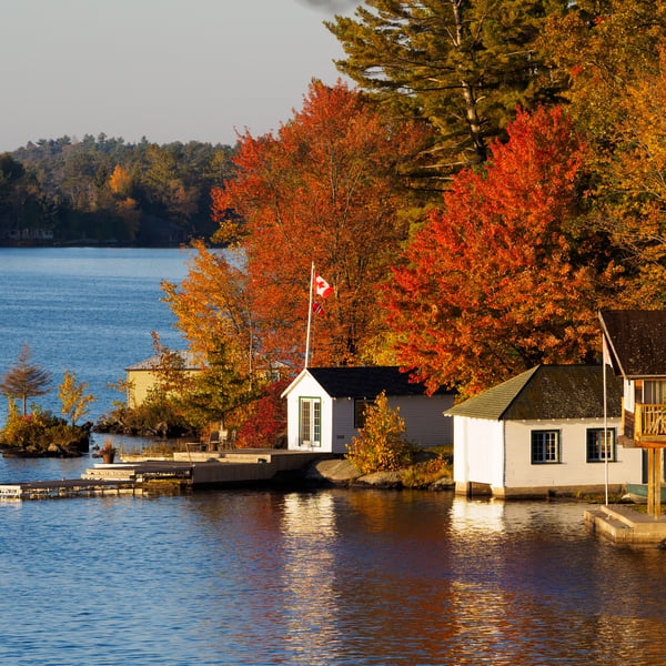 Il foliage spettacolare delle foreste del Canada
