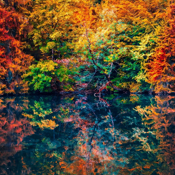 Herbstfarben: wo und wann man sie weltweit bewundern kann