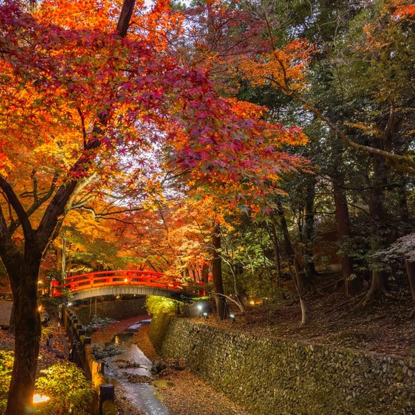 Autumn colors in Japan: the magic atmosphere of Kyoto