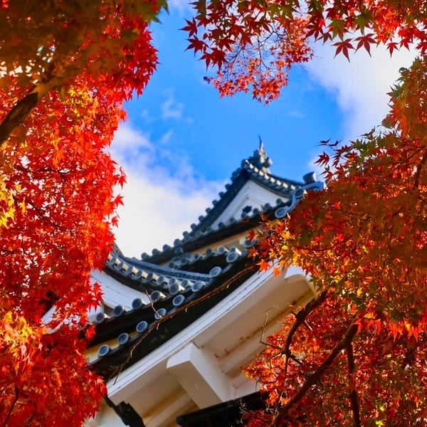 El peculiar «spa» de Hakone en Japòn: vivir una experiencia