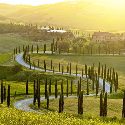 Florence Airport Transfers (FLR)