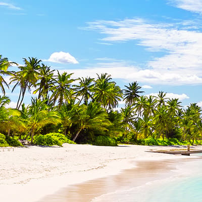 Punta Cana Airport Transfers (PUJ)