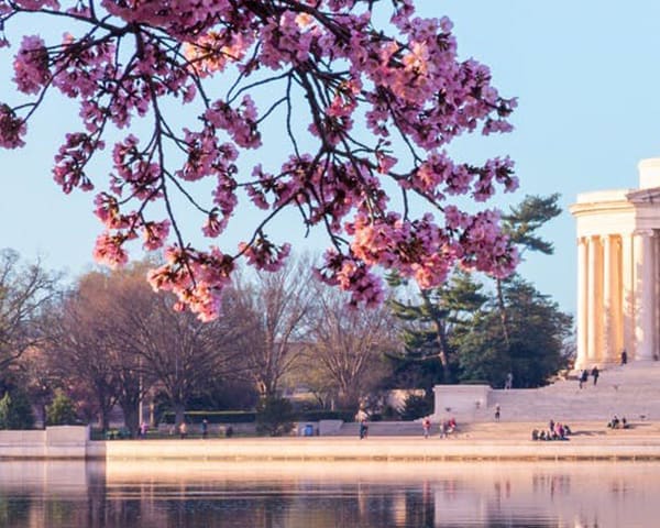 Washington DC Airport Transfers