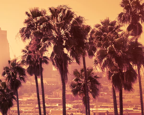 Los Angeles Airport Transfers (LAX)