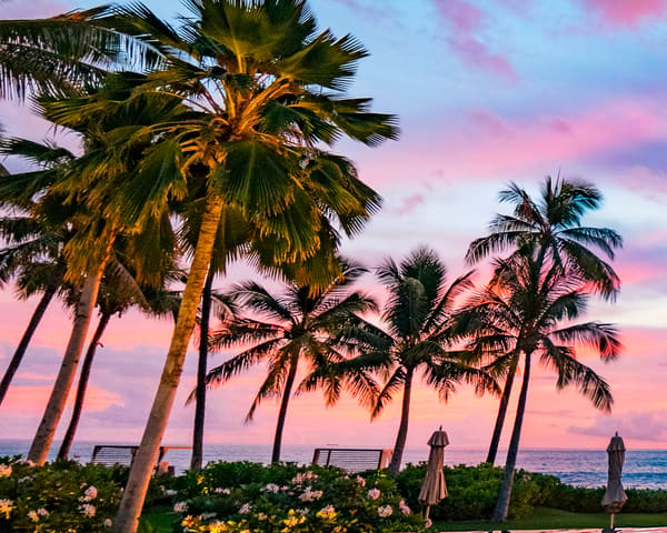 honolulu airport transfers