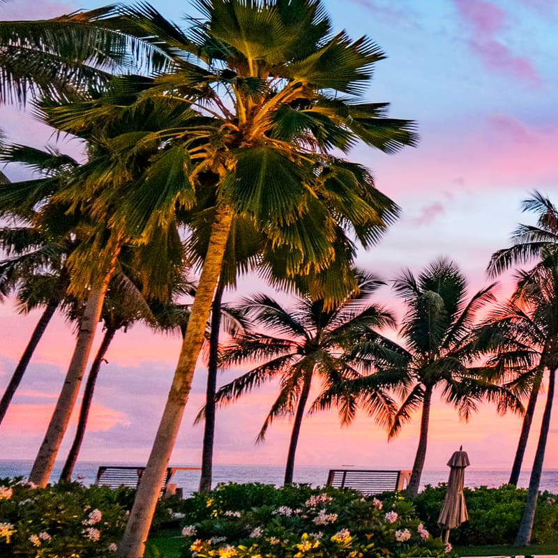 Honolulu Airport Transfers (HNL)