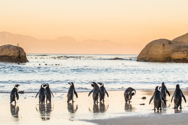 Tips for your trip to Cape Town