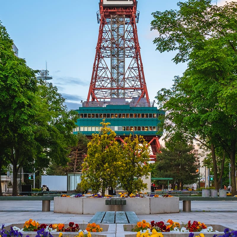 Transfer da e per Aeroporto Sapporo Okadama (OKD)