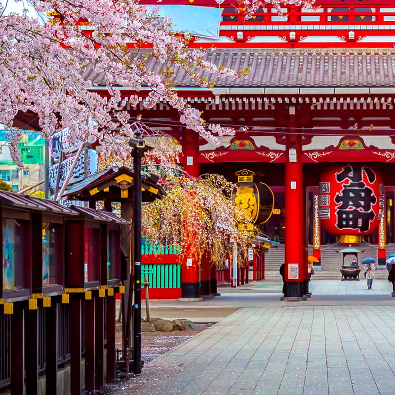 Tokyo Narita Airport Transfers (NRT)