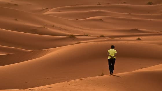 Travel safe in the desert