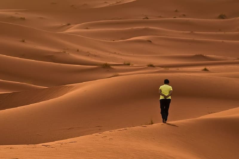 Viaje seguro por el desierto