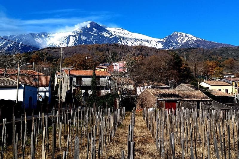 Sicily top tourist destination in 2025
