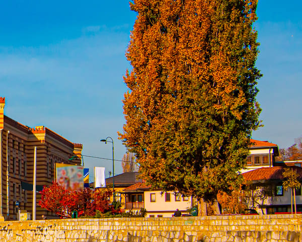 sarajevo