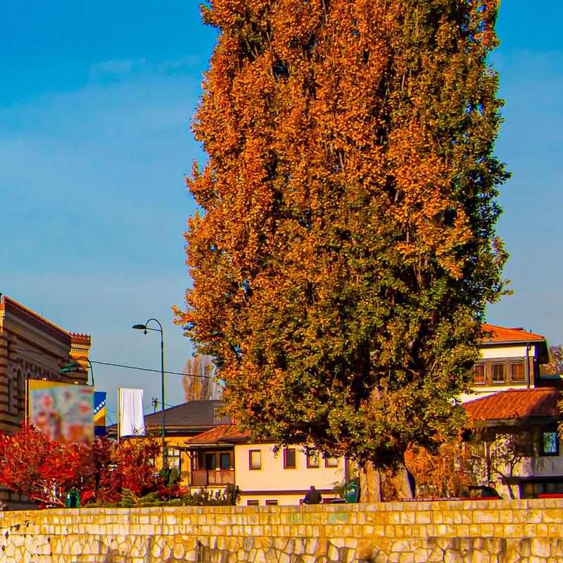 Sarajevo Airport Transfers (SJJ)