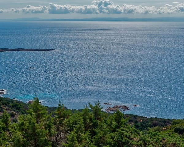 figari
