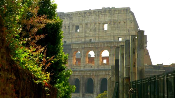 ROME FASHION