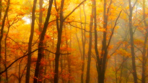 The spectacular “Indian Summer” time
