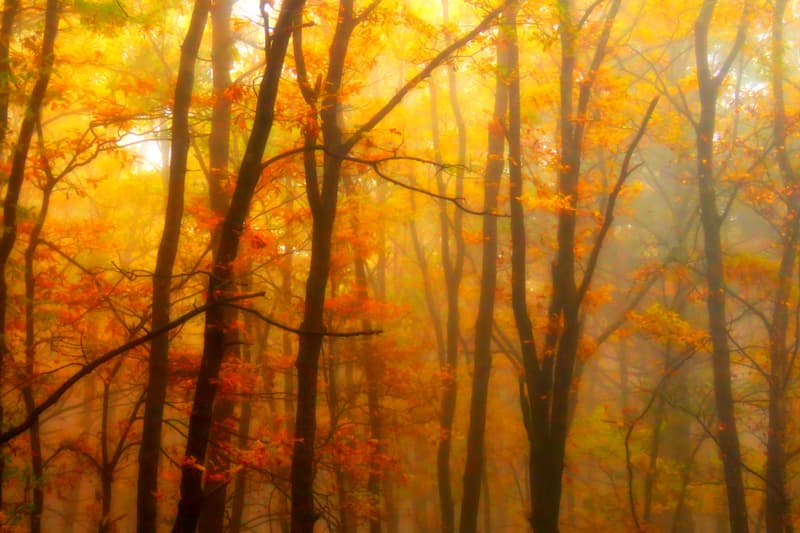 La spettacolare “Estate Indiana” e i colori d’autunno