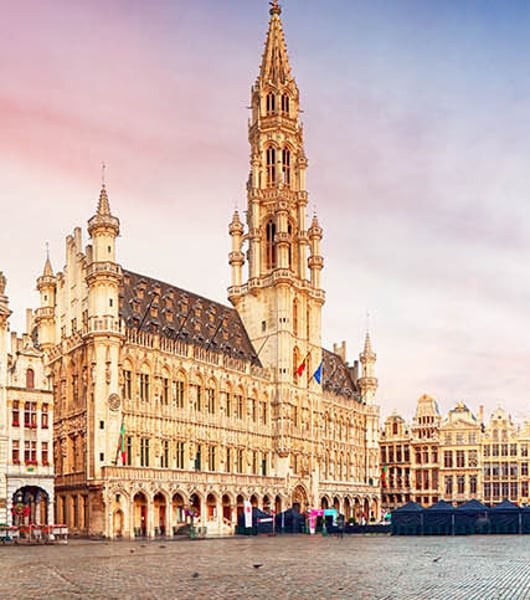 Private transportation services in Brussels