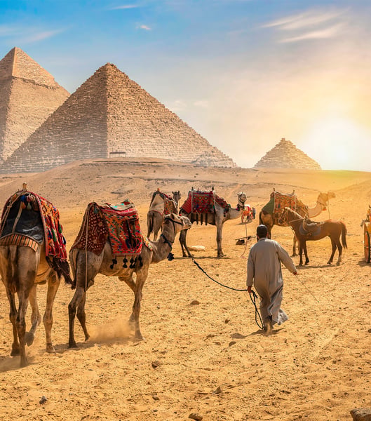 Private transportation services in Cairo Airport (CAI)