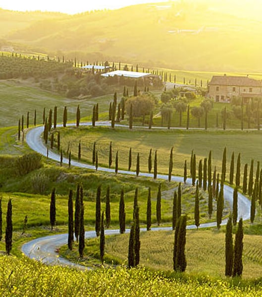 Services de transport privé à Firenze