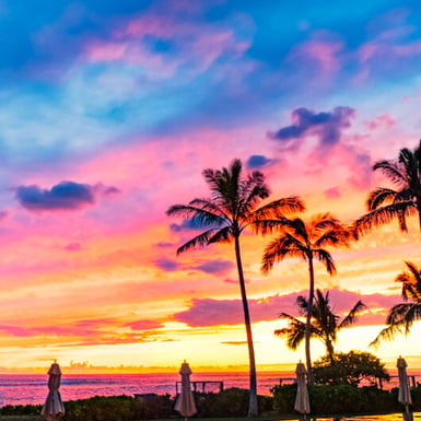 Transfer da e per Aeroporto di Honolulu  (HNL)