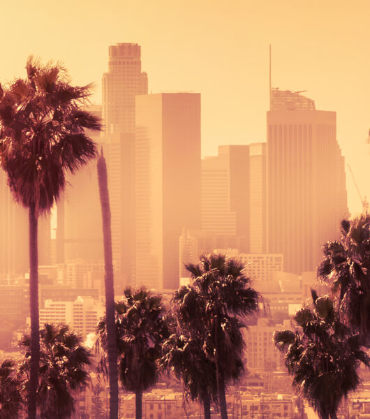 Servicios de transporte privado en Los Angeles