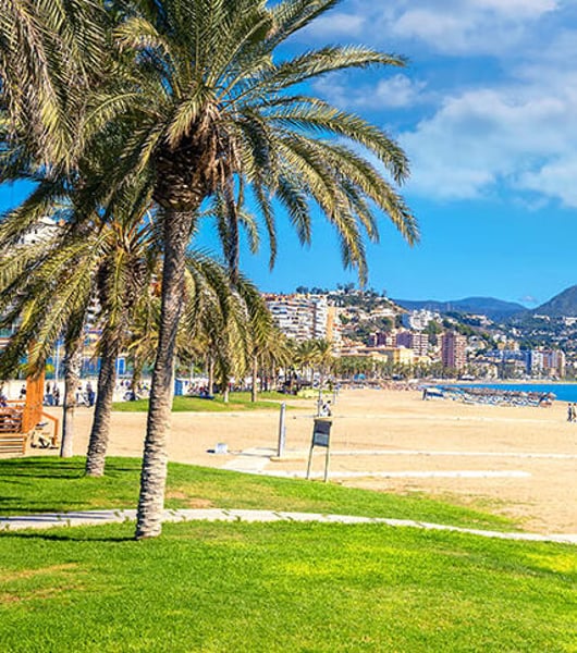 Servicios de transporte privado en Aeropuerto de Málaga-Costa del Sol (AGP)