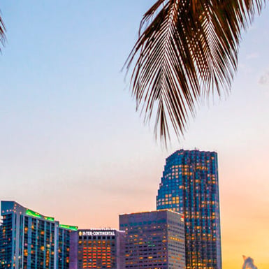Miami Palm Beach Airport Transfers (PBI)