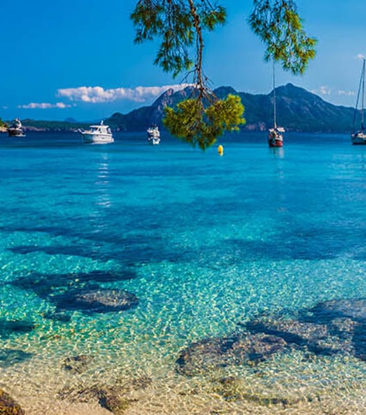 Private transportation services in Palma