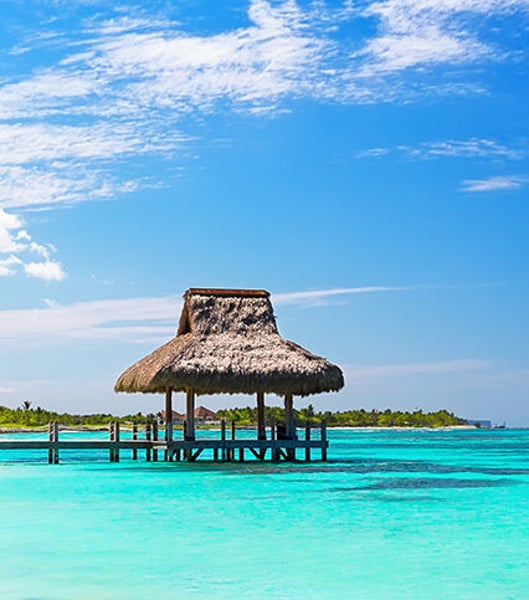 Private transportation services in Punta Cana 