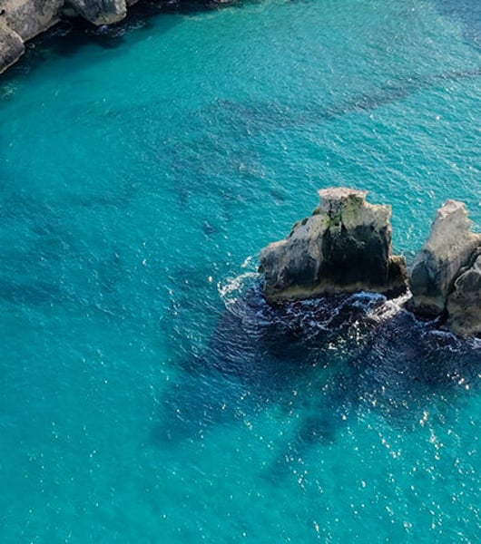 Servicios de transporte privado en Brindisi